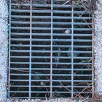 ....und so sehen sie 2000 Jahre später aus...