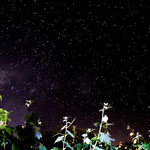 ...der Sternenhimmel hier ist einmalig - dank der klaren Luft...