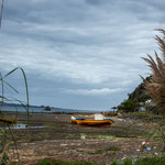 ...seid die Fischzucht in Chile staatlich forciert wird gibt es keine Fischer mehr...