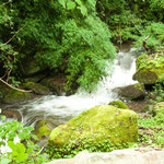 ....und erste Begegnung mit dem "Los Quetzales Nationalpark"....