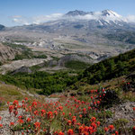 Einfach nur schön - aber auch gefährlich