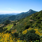 ....nach der Regenzeit sieht man immer wieder blühende Wiesen.