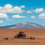 ...die ganze Strecke begleitet einen mit tollen Farben und Formen...