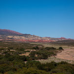 ...Paprikaschoten werden in der Sonne getrocknet