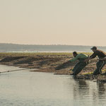 ...ausgelegte Netze werden manuell an Land gezogen...