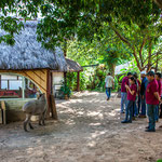 ...aber leider waren dort zu viele Personen - so drehte es wieder ab...