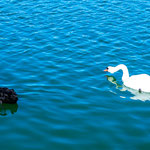 ...Gegensätze ziehen sich an