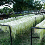 Die Faser zum Trocknen