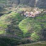 ...sieht wunderschön aus - ist aber Knochenarbeit...