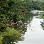Einer von den ganz vielen Flüssen in Belize.....