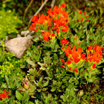 .....diese kennen wir nicht....