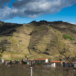 ...harte Arbeit an diesen Steilhängen zu arbeiten...