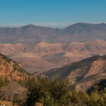 Was für eine Farbenpracht...