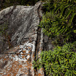 Schon die Zapoteken haben das Wasser genutzt - hier über alte Wasserrinne
