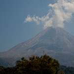 .....aber auch wie aktiv er noch ist.