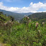 ....das entschädigt für all die Strapazen.