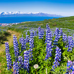 ...Herz was willst du mehr - Island ist einfach wunderschön...