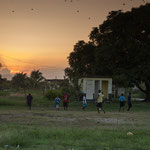 die "Fussballstars" von Hopkins auf ihrem "englischen Rasen".....