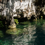 ....die Farben variieren je nach Licht- und Sonneneinfall....