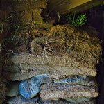 ... das Baumaterial - Torfstiche.