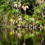 ....dieses tropische Paradies lag uns direkt gegenüber....