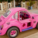 was für ein wunderschöner Käfer