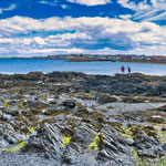 Der Belfast Lough - das Belfast Tor zur Welt...