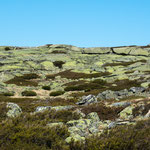 ...das gibt die ungewöhnlich - unnatürliche Farbe des Gesteins...