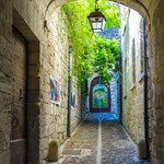 ...mittelalterlicher Kräutergarten...