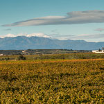 Und vielen Weinbergen.