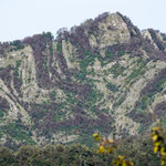 Ligurien bietet extrem viel landschaftliche Abwechslung