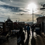 ...und unendlich viele und riesige Möven...