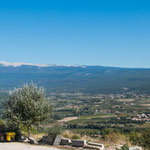 Und immer wieder sieht man den mächtigen Mt. Ventaux in weiter Ferne