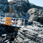 ...die Forscherinnen gehen an Land - besser auf die Insel - für 3 Wochen!!!