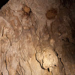 ....und beobachtet von "Unterweltgeistern"....