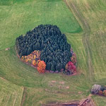 ...die Vegetation sieht von oben ganz anders aus...