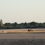 ...leider herrschte eine schlimme Trockenheit...