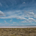 Ein weiterer Salzsee auf dem Weg nach Nihuil...