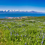 ....auf Schneeberge...