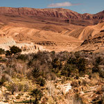 ...beeindruckend die Palmen-Oasen vor den farbigen Bergen...