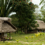 ....die Kinder waren sehr neugierig....