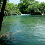 Direkt am Ecoturismo Center ist dieser wunderbare Urwaldfluss - ideal zum Baden