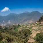 ....die vielen Gemüsefelder bei Zunil....