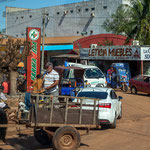 ...der ein oder andere auch mit einem Pferdewagen...