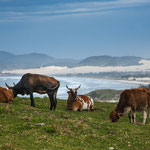 ...Postkartenidylle...