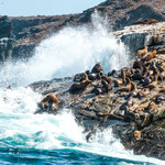 ...aber nein sie sind noch alle da...