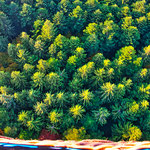 ...toll zum Schauen - schlecht zum Landen - aber unser toller Pilot Danny fand trotzdem einen Landeplatz...