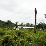 .....unglaublich was die paar Familien in 4 Monaten geschaffen haben.....