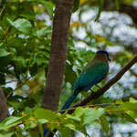 ....leider hat dieser schöne Kerl uns seinen Namen nicht genannt.